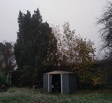 Abattage d'arbres à Bruay-la-Bussière